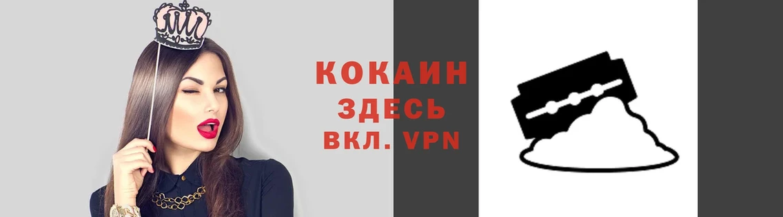 Кокаин Эквадор  ссылка на мегу зеркало  Вольск 