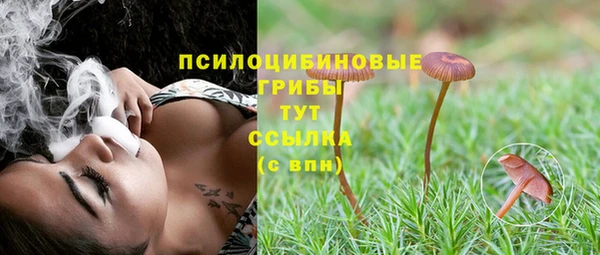 mdpv Барнаул