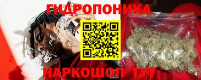jwh Будённовск
