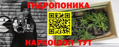 гидропоника Бугуруслан