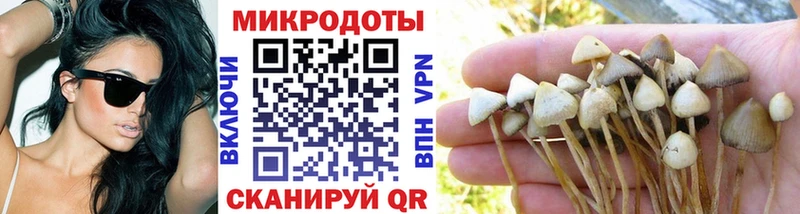 Псилоцибиновые грибы ЛСД  Вольск 