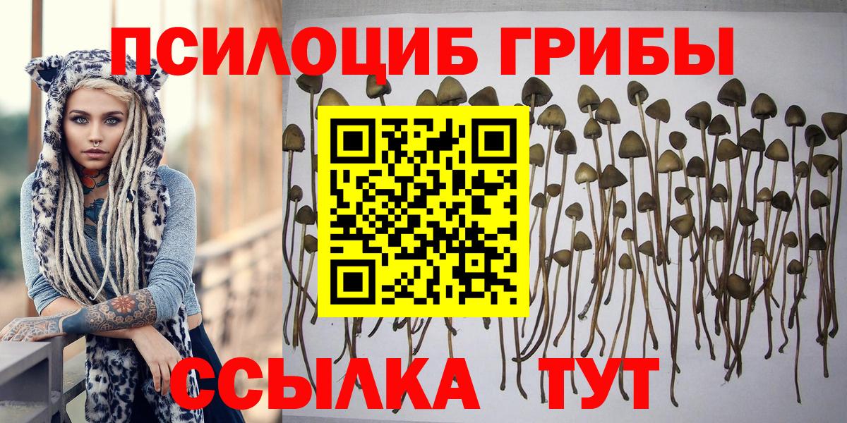 Галлюциногенные грибы мухоморы  Псилоцибиновые грибы Cubensis  купить   Вольск 