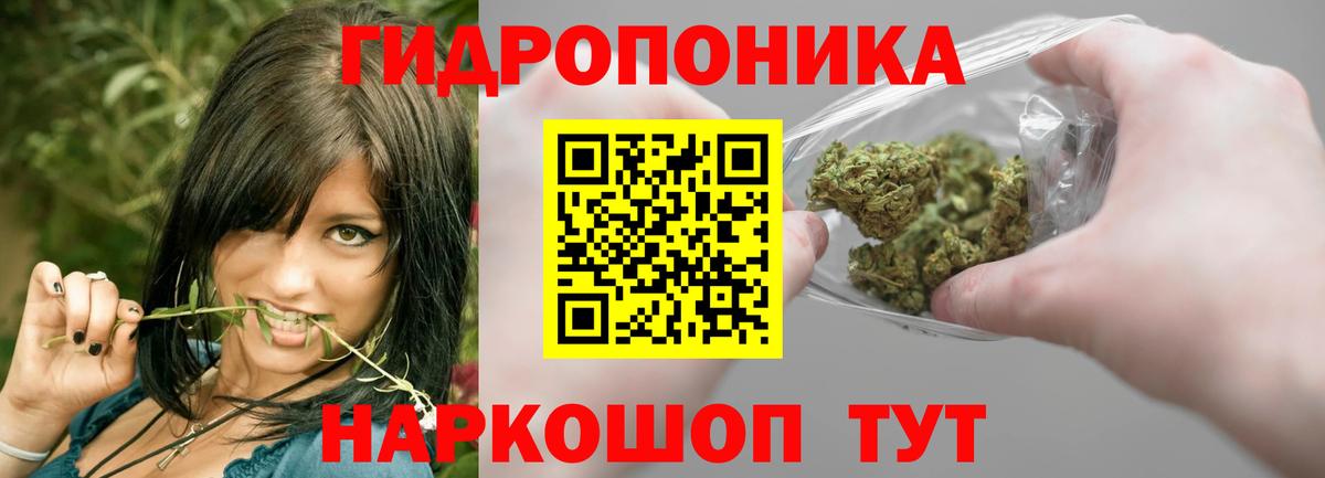 Марихуана марихуана  Бошки Шишки Bruce Banner  Вход с VPN  Бошки марихуана VHQ  Вольск 