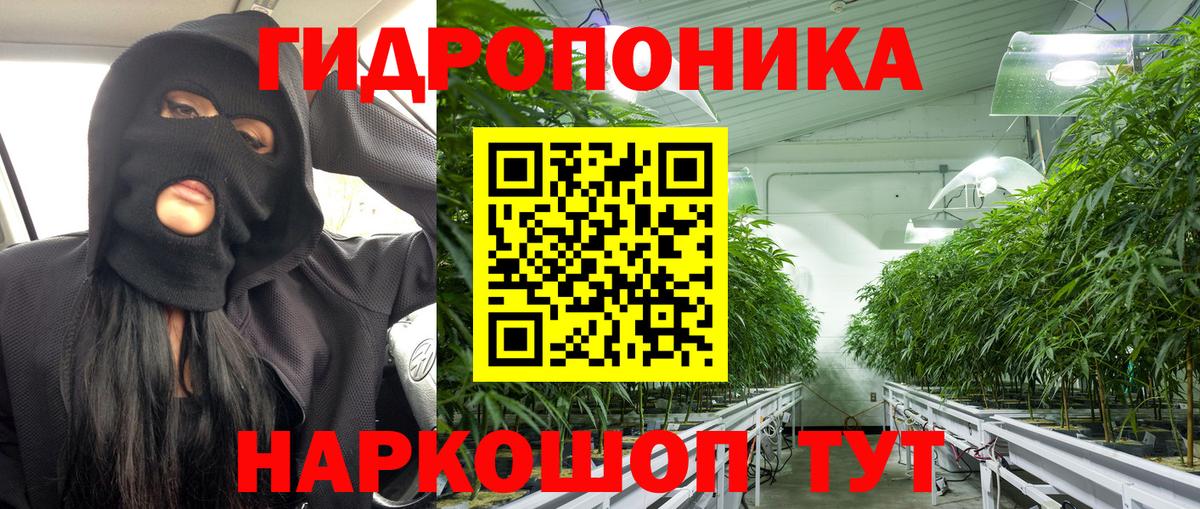 Бошки марихуана марихуана  Шишки марихуана SATIVA & INDICA  Бошки марихуана конопля  Вольск 